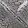 Mayco White Cobblestone Speciality Glaze Mayco White Cobblestone Speciality Glaze
