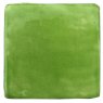 Lime Green Glaze & Body Stain