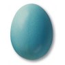 Turquoise Matt Earthenware Powdered Glaze