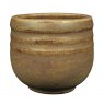 Textured Amber Amaco Potters Choice Glaze