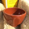 Hazel Earthenware Glaze 9364 Hazel Earthenware Glaze 9364