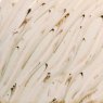River Birch Flux Amaco Potters Choice Glaze River Birch Flux Amaco Potters Choice Glaze