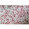 Lady Bugs Underglaze Transfer Sheet