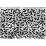 Bats Underglaze Transfer Sheet