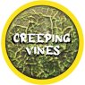 Rolltex Creeping Vines Mini Series