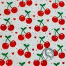 Cherries Underglaze Transfer Sheet - Multi Coloured