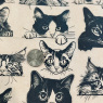 Zany Cats Underglaze Transfer Sheet
