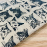 Zany Cats Underglaze Transfer Sheet Zany Cats Underglaze Transfer Sheet