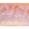 Flux Crawl Amaco Crawls Glaze Flux Crawl Amaco Crawls Glaze