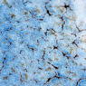 Speckled Flux Amaco Crawls Glaze Speckled Flux Amaco Crawls Glaze