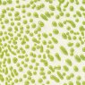 Lime Amaco Crawls Glaze