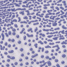 Purple Amaco Crawls Glaze