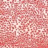 Red Amaco Crawls Glaze Red Amaco Crawls Glaze