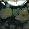 Olive Float Mayco Stoneware Glaze Olive Float Mayco Stoneware Glaze