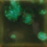 Woodland Fantasy Mayco Jungle Gem Woodland Fantasy Mayco Jungle Gem